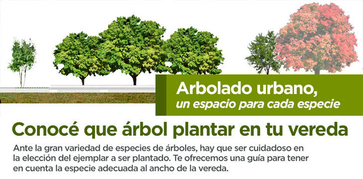 img-arbolado-interna
