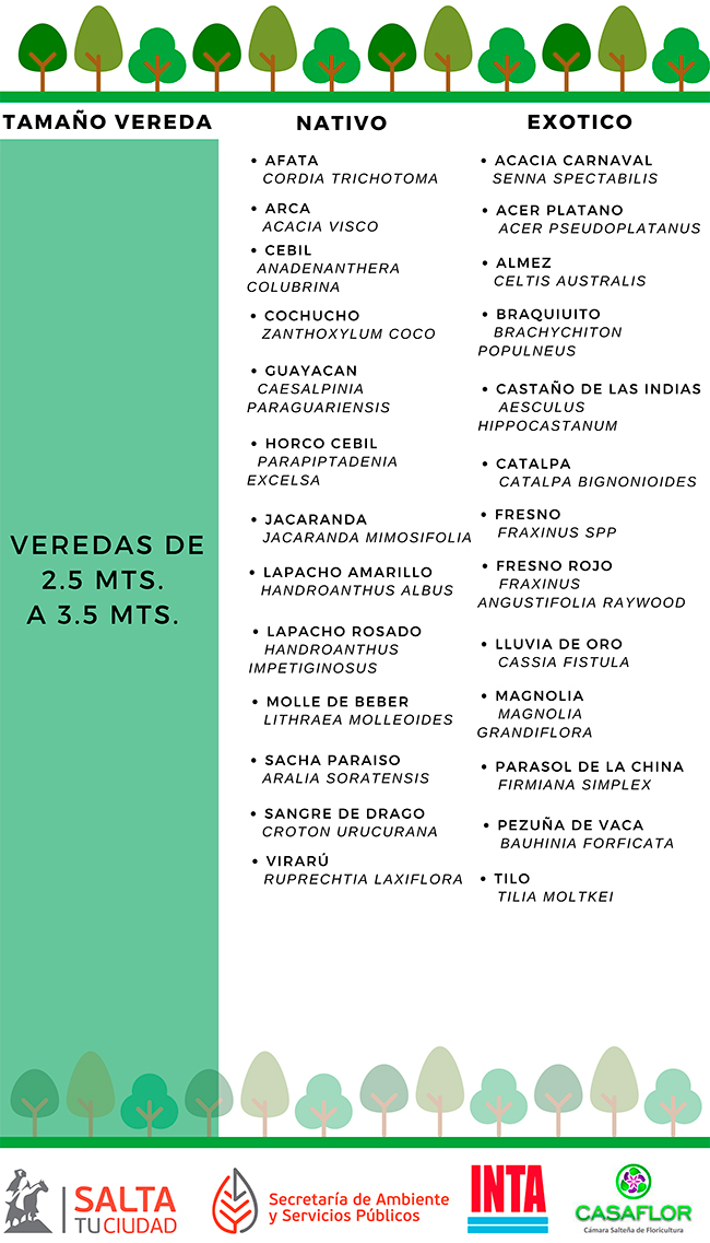 QUE-ARBOL-PLANTAR-2