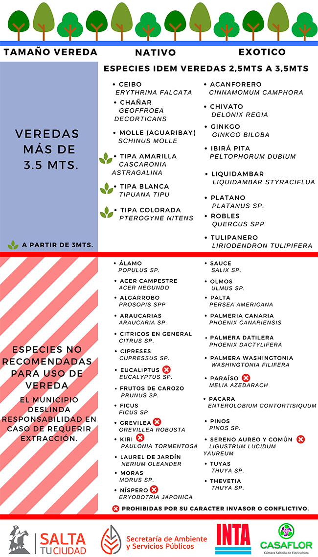 QUE-ARBOL-PLANTAR-3