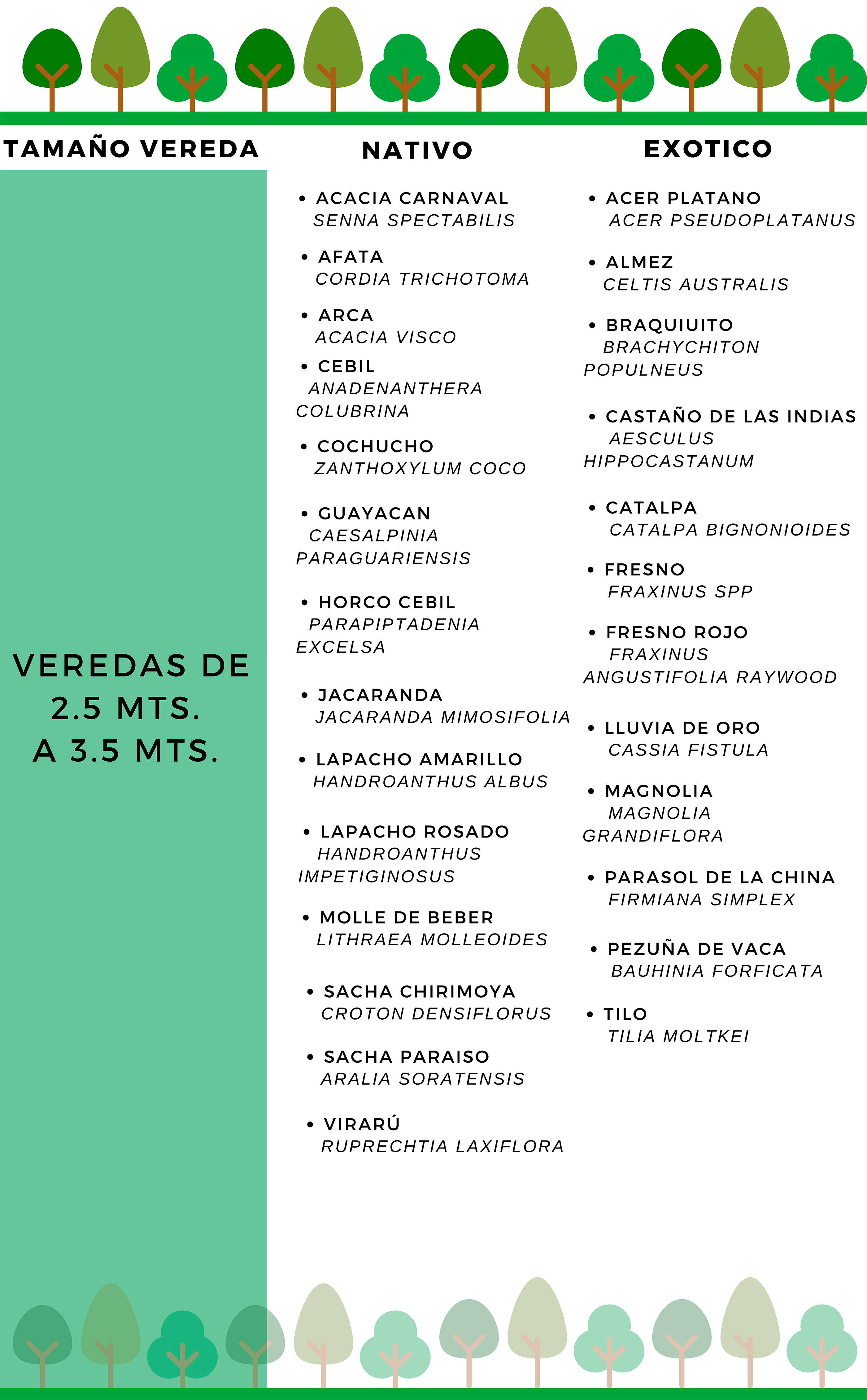 QUE-ARBOL-PLANTAR-verde