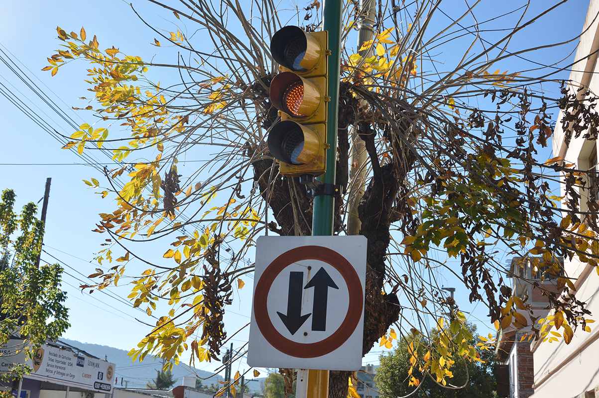 En menos de dos años se instalaron 41 nuevos semáforos, con una