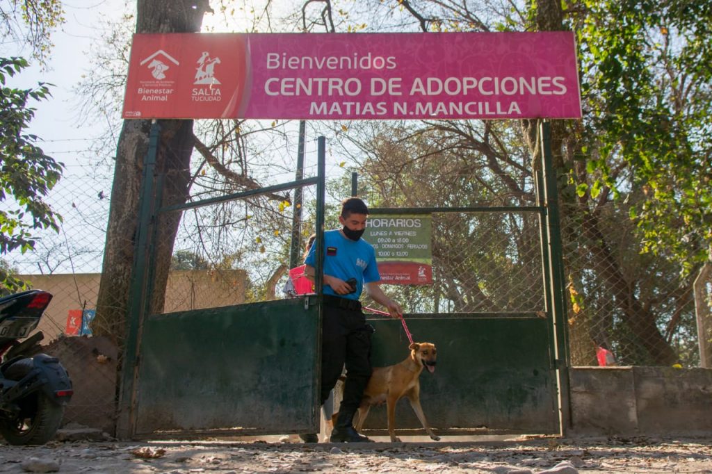Voluntario Refugio mascotas3