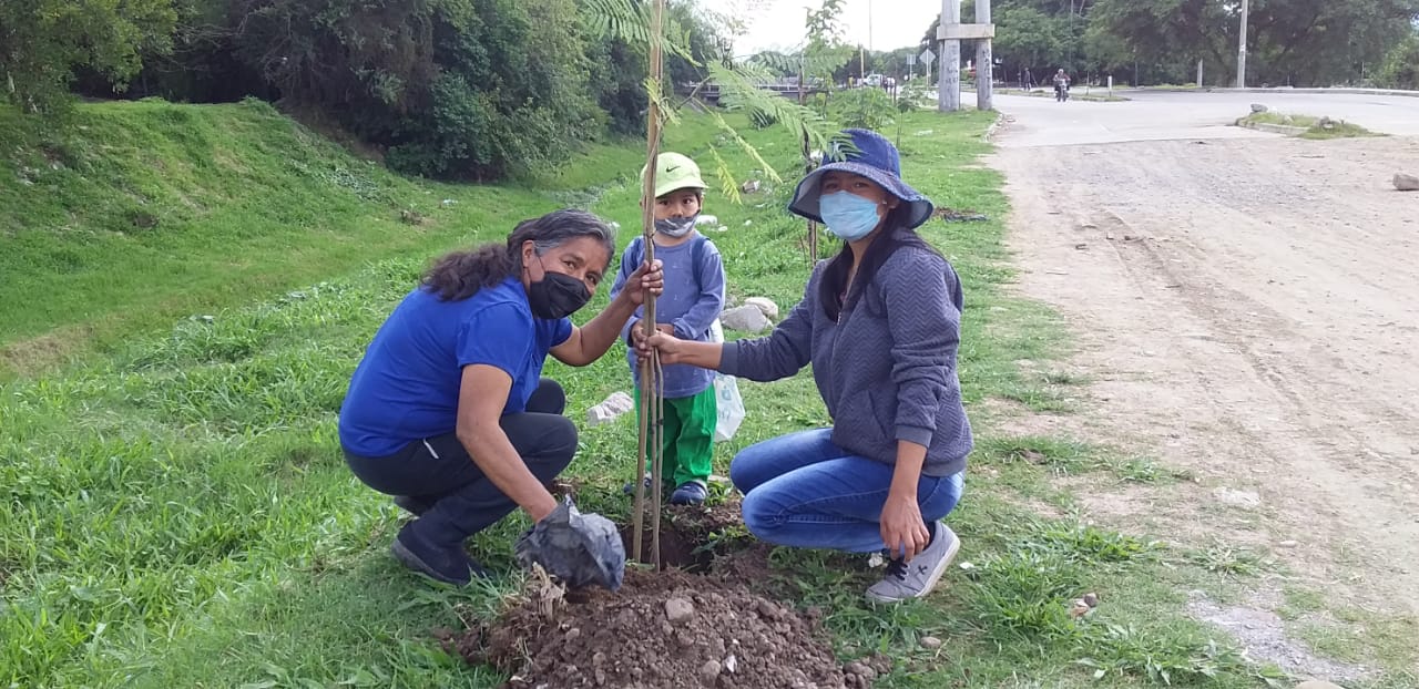 La Municipalidad incentiva el cuidado de los árboles en la ciudad -  Municipalidad de Salta