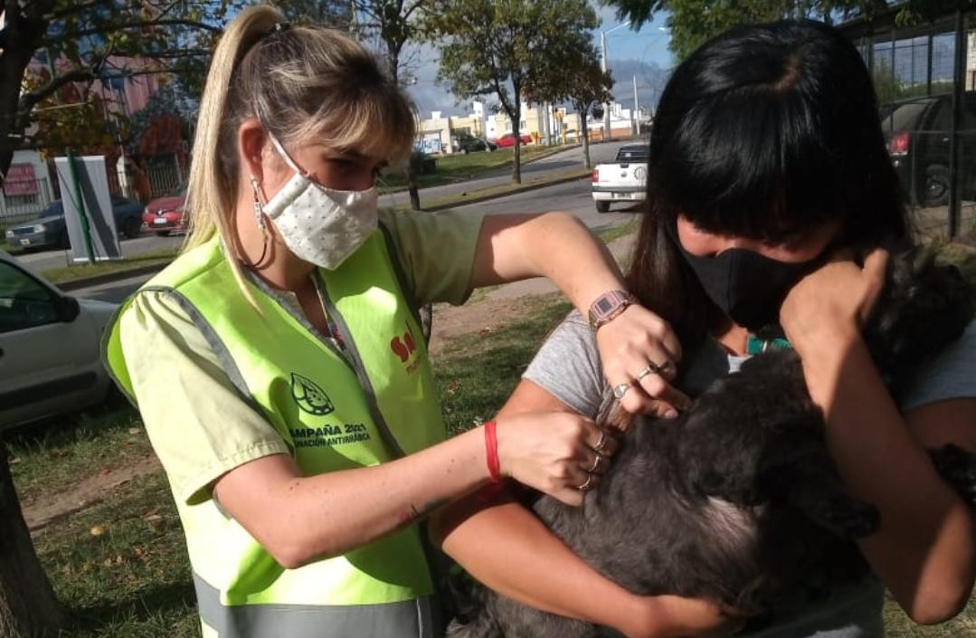 Bienestar Animal: la campaña antirrábica comienza a recorrer los barrios de la zona Oeste Alta - Municipalidad de Salta Bienestar Animal: la campaña antirrábica comienza a recorrer los barrios de la zona Oeste Alta - Municipalidad de Salta