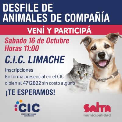 desfile de mascotas Limache flyer