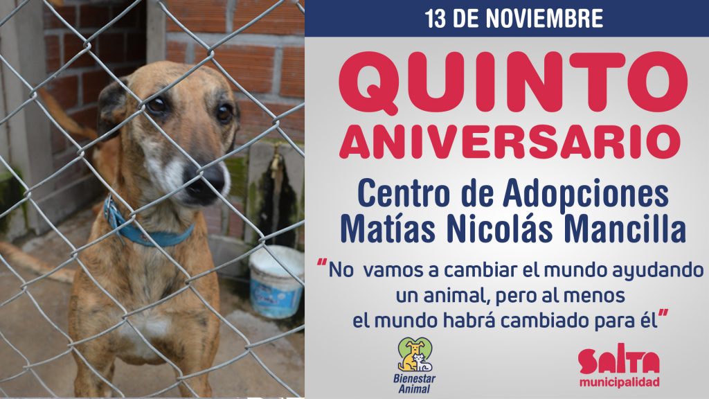 El Centro de Adopciones “Matías Nicolás Mancilla” cumple su quinto  aniversario – Municipalidad de Salta
