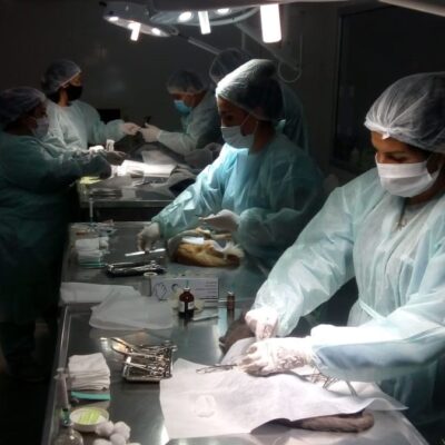 cirugías Hospital Municipal AA