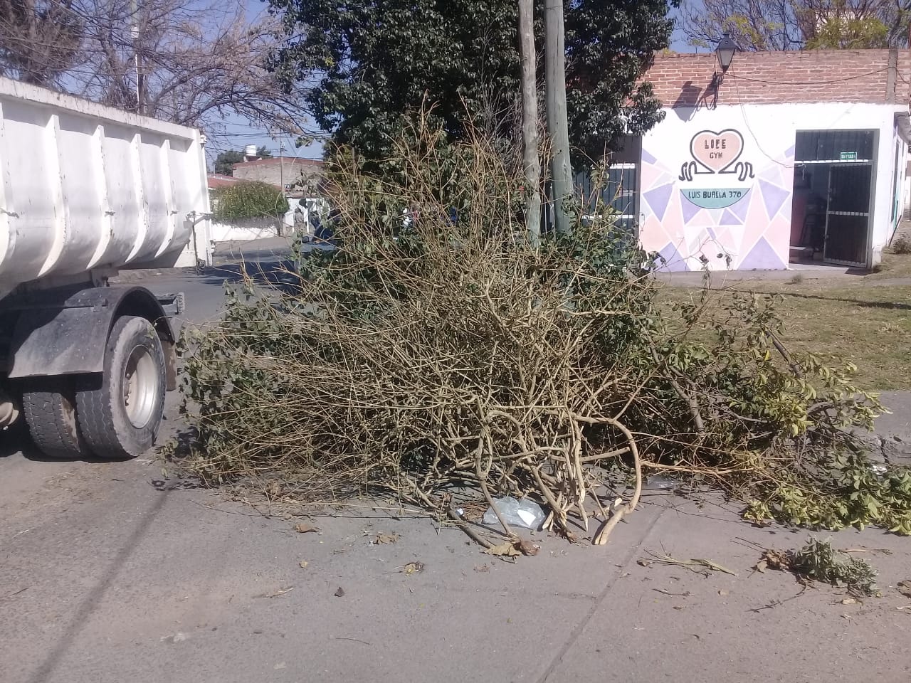 La Municipalidad continúa retirando restos de poda mal acondicionada -  Municipalidad de Salta