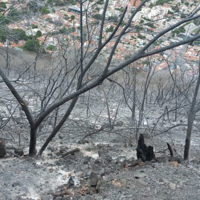 incendio cerro 20 de Febrero 2