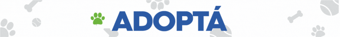adopta mascota